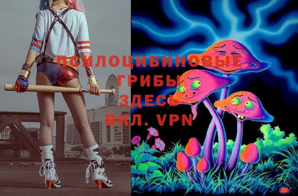 apvp Навашино