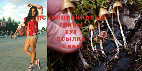 соль курить ск Михайловск