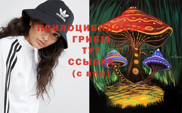 COCAINE Михайлов